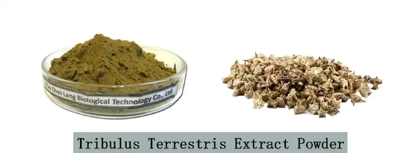 Tribulus Terrestris Extract Powder.jpg